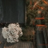 航拍杭州法喜寺五百年树龄玉兰花，沉浸式360度赏花