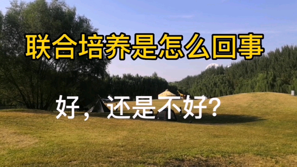 联合培养是怎么回事?好,还是不好?哔哩哔哩bilibili