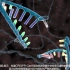 Nature子刊：CRISPR基因编辑会导致可遗传的基因组结构突变
