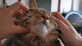 f2289449700436eebd001878d653dd7afca2cfca.png@280w_158h_1c_100q.jpg