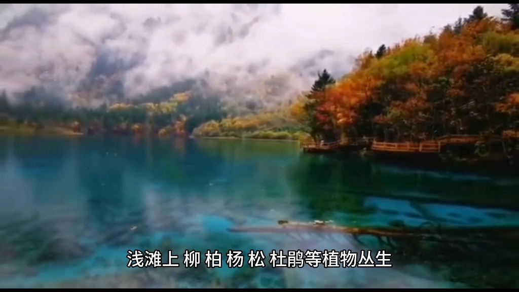 九寨沟盆景滩