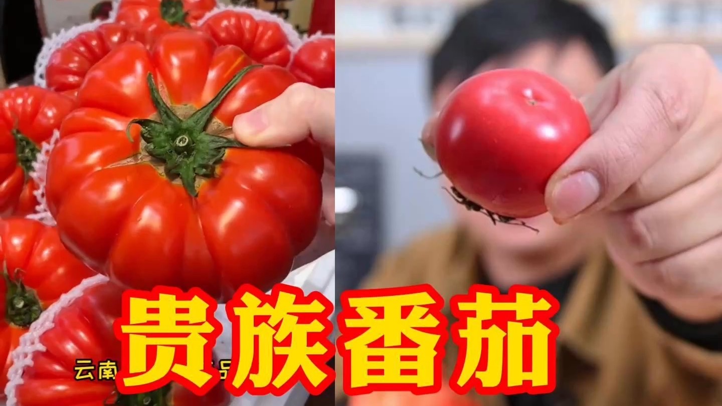 贵族番茄！玫瑰草莓番茄？你们评评理【网红带货祛魅】