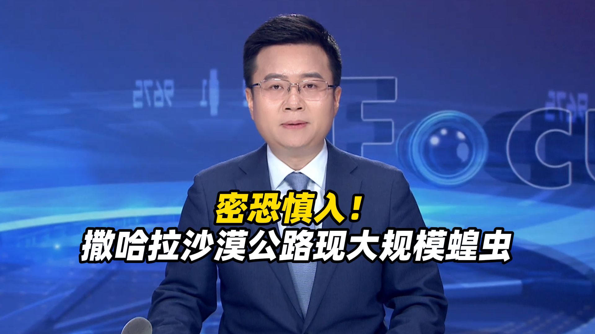 密恐慎入！密密麻麻铺天盖地，撒哈拉沙漠公路现大规模蝗虫，“对人类基本无害，但对农作物、牲畜和环境构成严重威胁”，目前，相关地区正加强监测防控