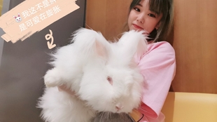 油兔视频大全 f254bab64db959cd72fcceb5e2cd88e9ec11058e.jpg@310w_174h_1c_100q.jpg