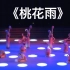 【古典舞】《桃花雨》群舞 南京艺术学院舞蹈学院 第十届全国舞蹈比赛