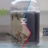 【摸鱼】经典化学实验——茶水变墨水