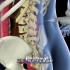 隆胸手术过程，3D演示。。
