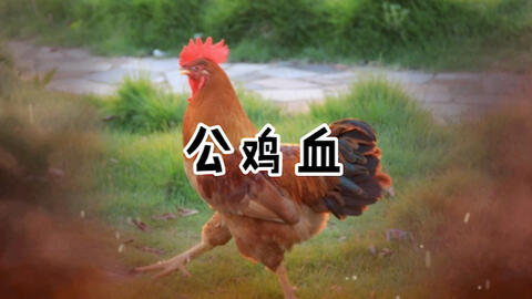真实鬼故事大全,真实鬼故事亲身经历