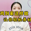 雏鸡到家，按照这样的程序来养，成活率高还好养，养鸡人学起来
