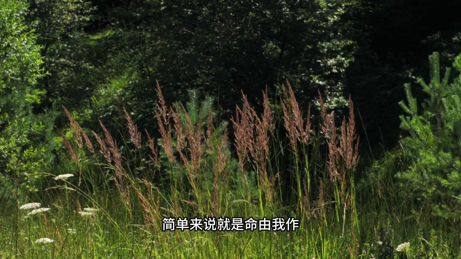 为什么说修行人的命算不准？改命究竟是要改什么？命？运？命运！