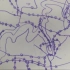 5岁不识字时画的地图