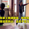 男孩在家上网课做操，狗狗在一旁兴奋窜动惹热议：这孩子定力好