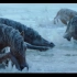 狼图腾：人们掠夺狼的食物杀掉狼的幼崽，遭到了狼群的报复！