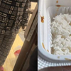 女子点退款后却把外卖吃了，面对骑手上门质问嚣张反怼：哪一条规定我不能吃