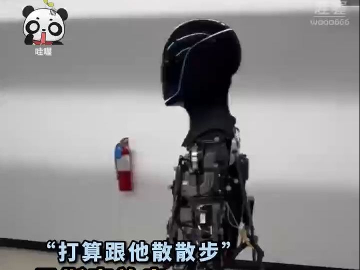 一丝不挂？1月31日，马斯克突然发布“擎天柱”行走视频，视频中的机器人没有外壳，线路裸露在外。马斯克自信表示，“要去和它散散步”。