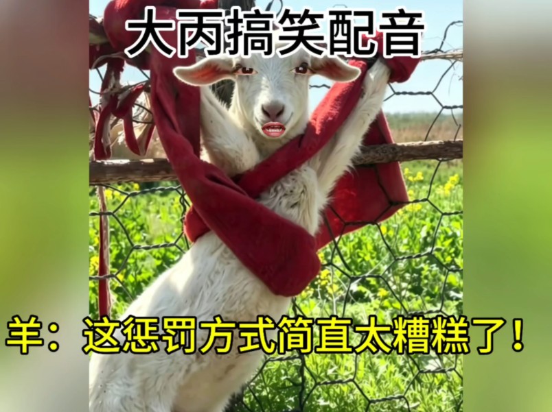羊：这惩罚方式简直太糟糕了！