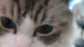 f2f43499e1d74ae2c066d21aeca396f3cf8e76c7.jpg@280w_158h_1c_100q.jpg