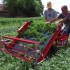 【极度舒适】全自动机械化收割农作物！这才是当代农场主该有的样子！
