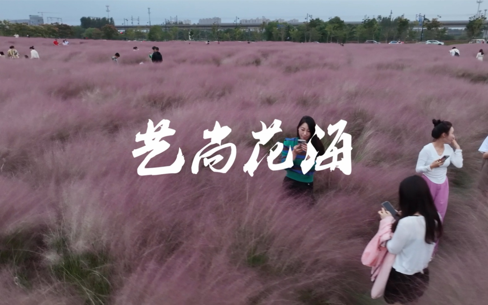 艺尚小镇花海