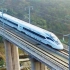 中国高铁为何不建在地上，却耗巨资建桥梁？老外：佩服中国智慧！