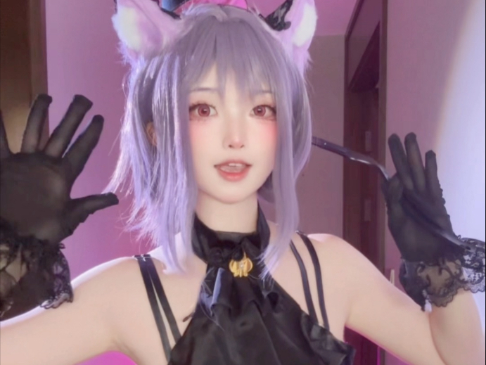 Cat this vibrant (> <)