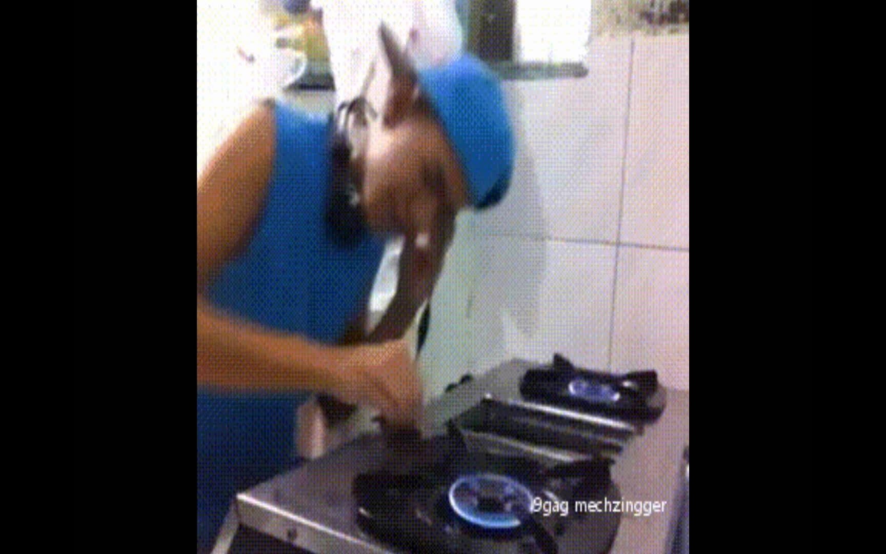 当煤气灶百强dj碰到逗比音乐