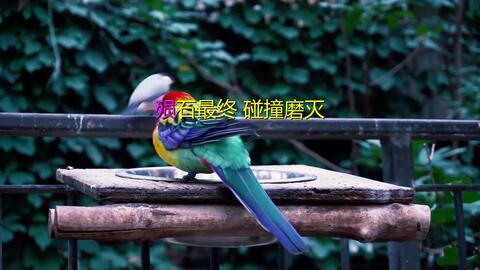 f343927725fd5bc81f3e15f4397bac4f6bfb02da.jpg@480w_270h_1c