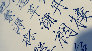 f344e0b6ea0ef5dec3064b54bdb5ac42c52a57f9.png@310w_174h_1c_100q.jpg