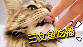 吃什么东西不会长毛 f34873482fe144b70226fb1f3ee63762ace9bf0e.jpg@280w_158h_1c_100q.jpg