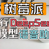 树莓派上的DeepSeek-v3语音助手，比肩O1，随叫随到的AI专家