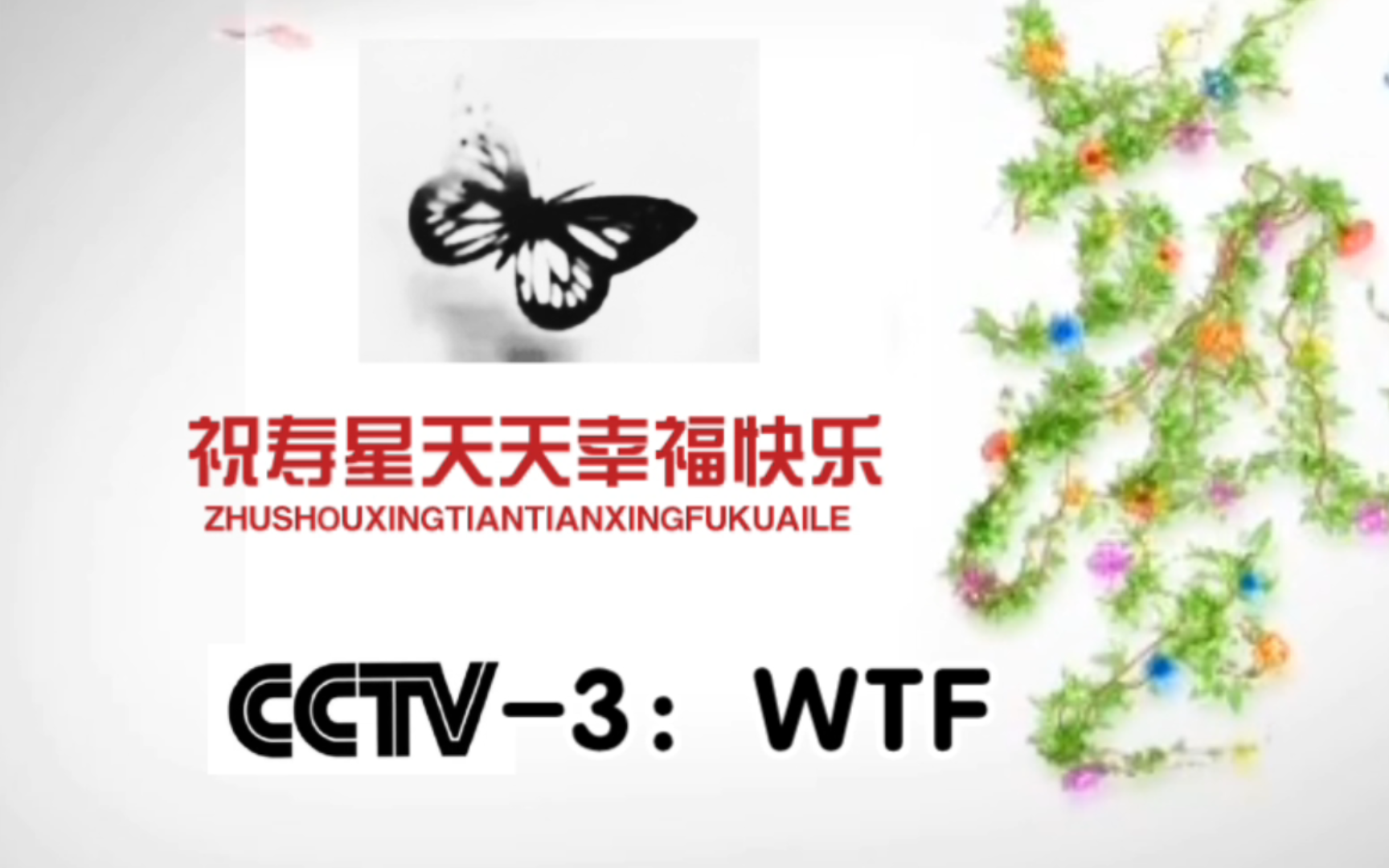 CCTV3综艺频道ID但是另类版本