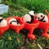 【四喜丸子】熊猫长大速度有多快？看看四喜丸子就知道了