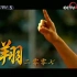 【刘翔】2007.12.31CCTV5《跨进奥运年》2007人物篇：飞人刘翔