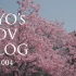 【A7m2】Ryo’s POV VLOG_004（上野公园花见）