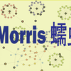 Morris 蠕虫实验的示范