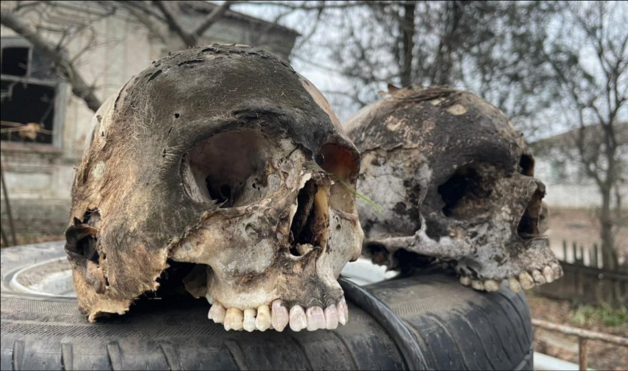 白骨露野，战争让每一个置身于此的人变成魔鬼！尸横遍野，俄军在各条战线攻克乌军阵地，击毙大量乌军士兵，遍地乌军200号货物。俄乌残酷巷战、堑壕战纪实（补档和谐版）