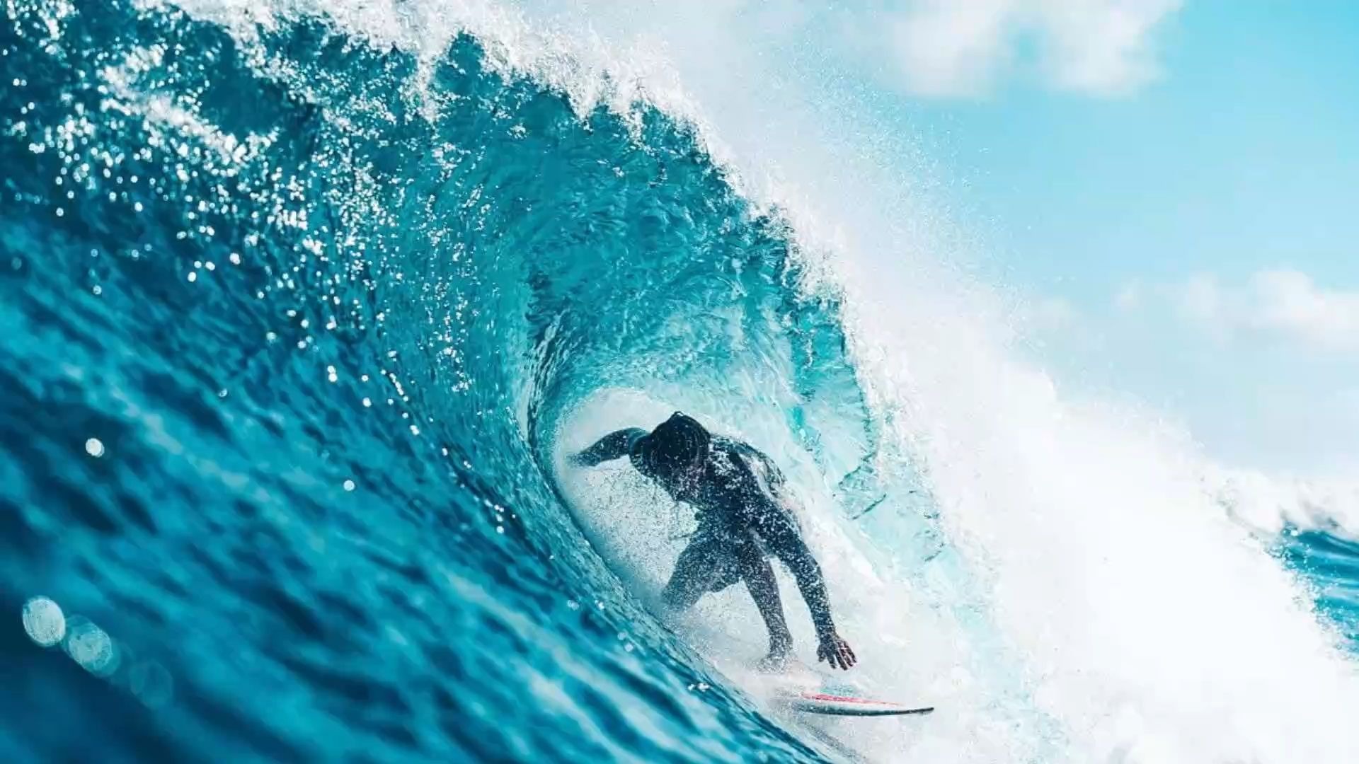 不能无视洋流 不能随波逐流——2025年11月19日直播P1