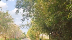 f3c504893debc3e9744595f96c327e6af96ab990.jpg@280w_158h_1c_100q.jpg