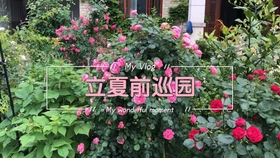 f3d50f0f4a1aba79a1fbb31258c66882e95aa30b.jpg@280w_158h_1c_100q.jpg