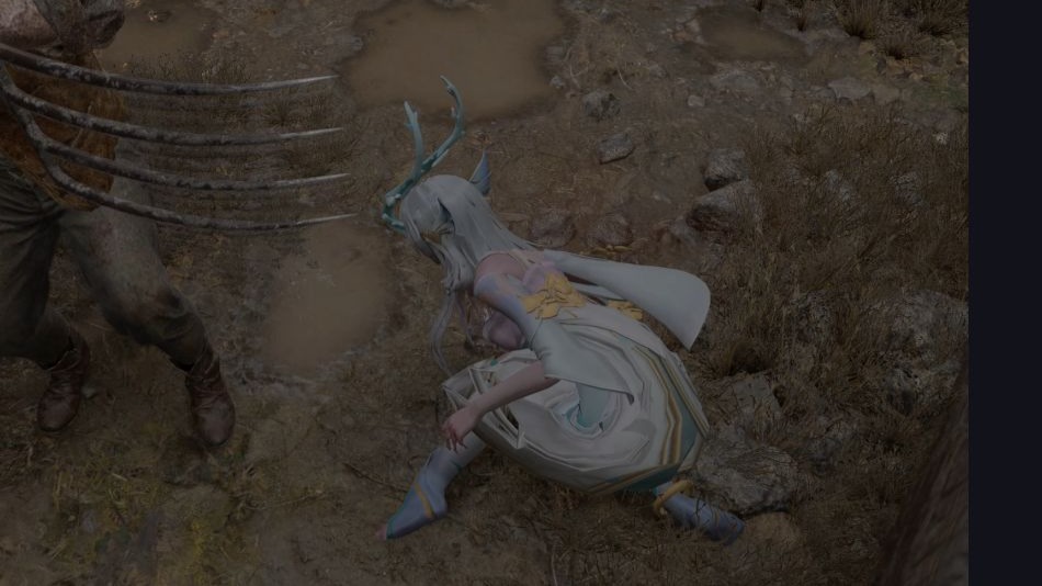 游龙清影的欢迎会（中）