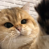 岁月这把猪饲料把鸡腿子祸害成什么样了