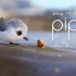 2017年奥斯卡最佳治愈系动画短片《鹬》，英文名《piper》皮克斯出品。