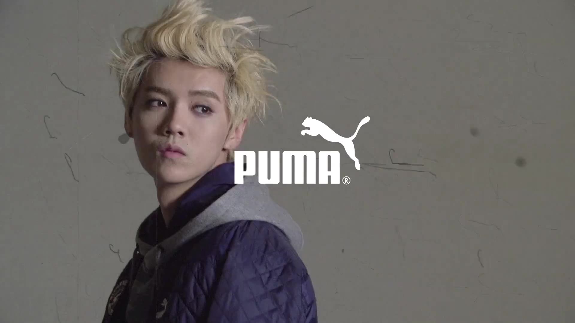 【鹿晗】puma 相关