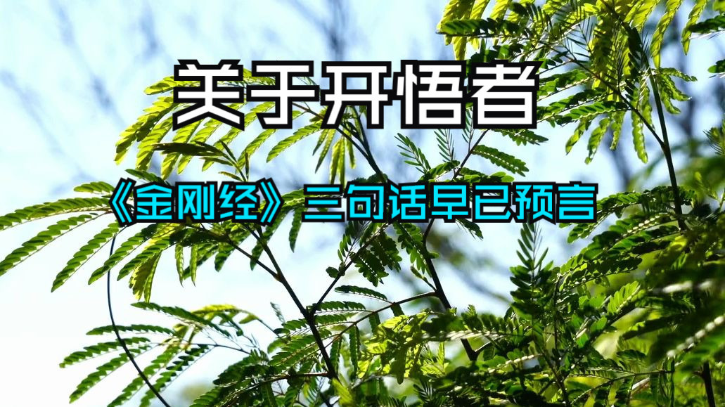 开悟者可怕到什么程度？《金刚经》三句话早已预言！