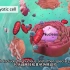【150集全集】生物医学3D动画第二期-第51至80集-中英cc字幕-生物医学英语-持续更新中