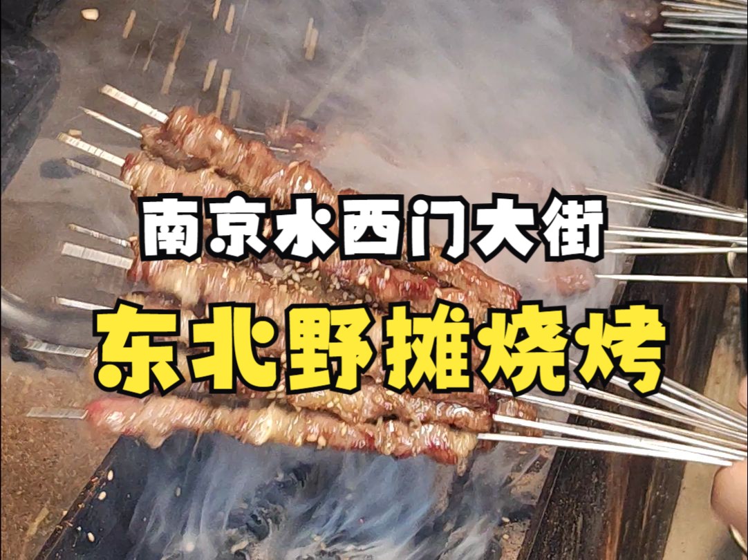 野摊测评|葫芦岛人在南京的露天野摊烧烤！