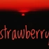 【音乐可视化】写给墨茶的歌-草莓