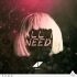 Avicii - All I Need (feat Sia)