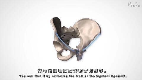 f49e29ae6614bb4351cb3939ba7bf3039f778df5.jpg@480w_270h_1c