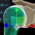 【医维度app】系统解剖学-骨连接的分类